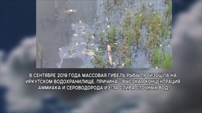 Экопроисшествия на водоёмах Иркутской области: самые громкие случаи