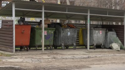 Обязать население платить за вывоз строительного и растительного мусора предлагают депутаты в Братске