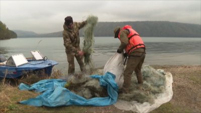Брошенные рыболовные сети достали со дна Иркутского водохранилища