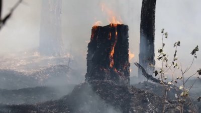 Пожароопасный сезон начался в западных и южных районах Иркутской области