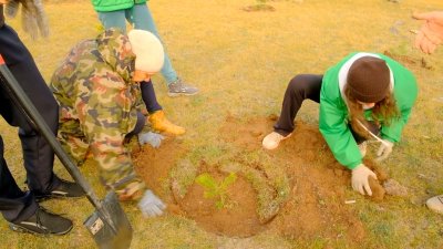 Волонтёры из разных стран высадили деревья на Ольхоне