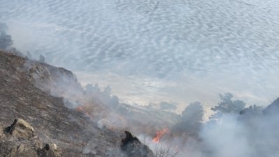 Почти 170 очагов лесных возгораний с начала сезона зафиксировано на территории Иркутской области