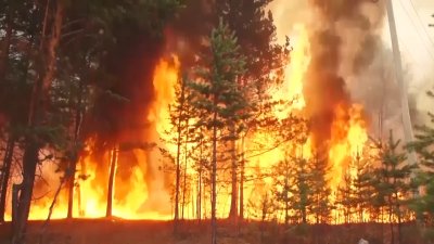 В Иркутской области зарегистрирован первый лесной пожар, причиной которого стала гроза