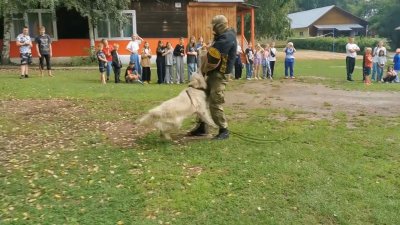 Сотрудники Росгвардии научили детей Иркутского района дрессировать служебных собак
