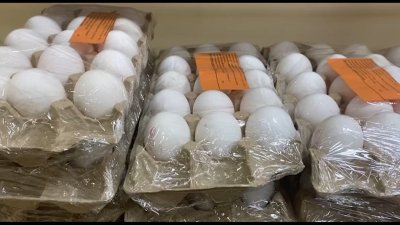 Как изменилась стоимость яиц в Иркутске после подписания пакта о сдерживании цен: проверка "Новостей по будням" 