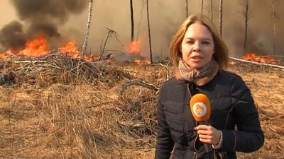 "История одного репортажа": работа на лесном пожаре
