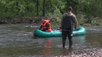 Поиск пропавшей у реки полуторогодовалой девочки продолжается в Иркутске 