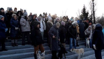 Подписи против введения в Иркутской области эвтаназии для бездомных животных собирают общественники 