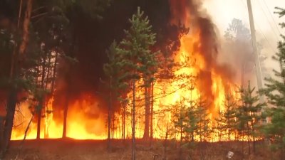 Чрезвычайный риск лесных пожаров прогнозируется на севере Иркутской области