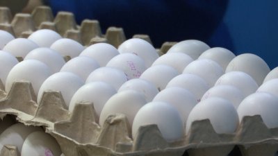 Цены на яйца в Иркутской области заморозят на три месяца