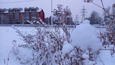 Погода в феврале в Иркутской области будет в пределах климатической нормы
