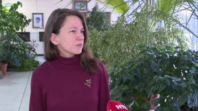 Мнения экспертов: почему растёт число несанкционированных свалок в Иркутской области