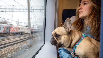 Животные всё чаще становятся пассажирами поездов в Иркутской области