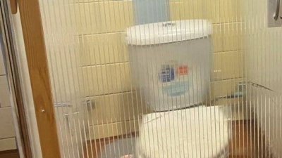 Туалет одной из школ Братска стал темой для обсуждения в Госдуме