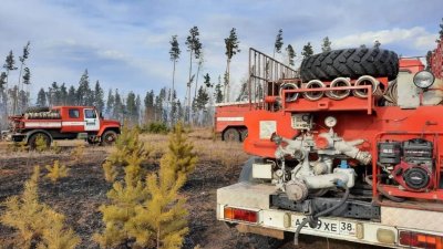 Три лесных пожара за сутки зафиксировали в регионе