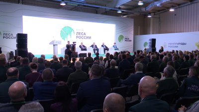 Федеральный форум "Леса России" впервые проходит в Иркутске
