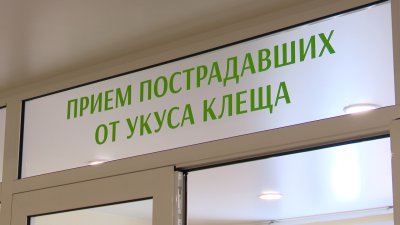 Укусы клещей фиксируют уже даже на севере Иркутской области