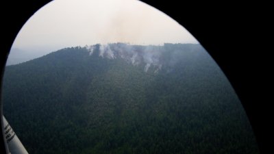 Три вновь зарегистрированных лесных пожара потушили в Иркутской области за прошедшие сутки