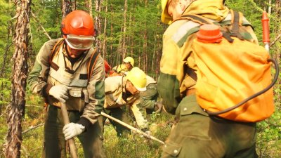 37 природных пожаров за сутки зафиксировано в Прибайкалье