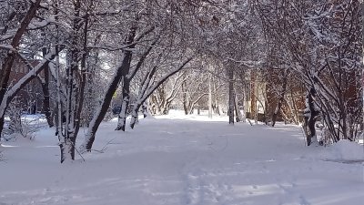 Снежная буря в Иркутской области: за сутки выпала месячная норма осадков