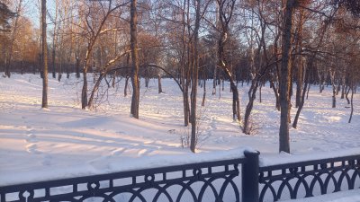 Снег ожидается в южных районах Иркутской области