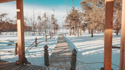 Отдых на Байкале в новогодние каникулы серьёзно подорожает