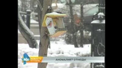 Температура в начале декабря в Иркутской области на 4-6 градусов выше обычных показателей