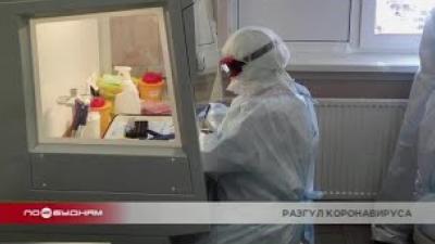 Медики не исключают, что предшественники коронавируса уже фиксировались на территории Иркутской области
