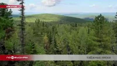 Участились случаи пропажи людей в лесах Иркутской области