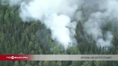 Площадь лесных пожаров в регионе за сутки увеличилась на треть