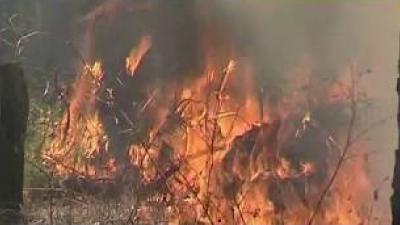 Режим ЧС ввели из-за лесных пожаров в Усть-Кутском и Жигаловском  районах