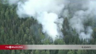 7 населённых пунктов Иркутской области задымлены из-за лесных пожаров