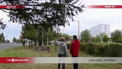Дебош в детсаду и вырубка деревьев ради рекламы: вопиющие случаи самоуправства в Братске и Усолье-Сибирском
