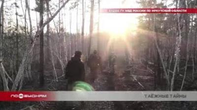 13 подозреваемых в незаконной рубке леса задержали в Качугском районе