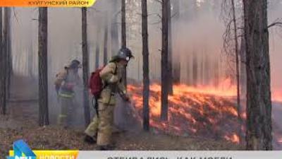 Лесные пожары угрожали людям