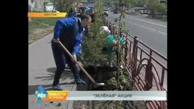 Акцию по озеленению Иркутска провели энергетики