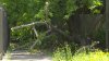 Упавшее на тротуар дерево в одном из дворов Иркутска не убирают больше недели