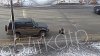 Возле в школы в Усть-Куте первоклассница на пешеходном переходе поскользнулась и попала под машину