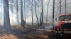 Лес начал гореть в четырёх районах Иркутской области