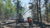 Лесные пожары потушили в Братском и Чунском районах