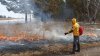 В Приангарье за сутки ликвидировано семь лесных пожаров на общей площади 41 га