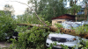 Шквалистый ветер повалил деревья в Бодайбо