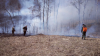 10 лесных пожаров потушили за сутки в Иркутской области 