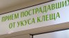 8 случаев укусов клещей зарегистрировано в Иркутской области