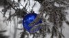 Главную новогоднюю ёлку Октябрьского округа Иркутска откроют 22 декабря
